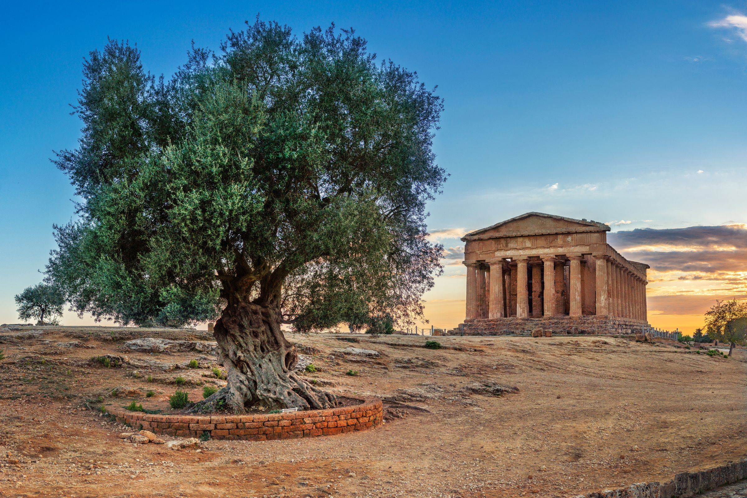agrigento (4).webp